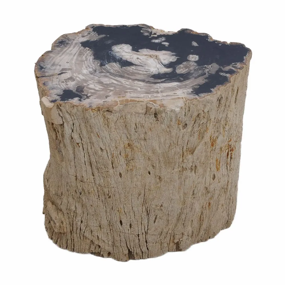 Stools - Petrified Wood side tables - XYLEIA PETRIFIED WOOD