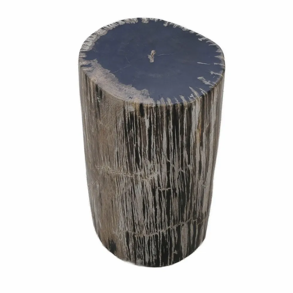 Stools - Petrified Wood side tables - XYLEIA PETRIFIED WOOD