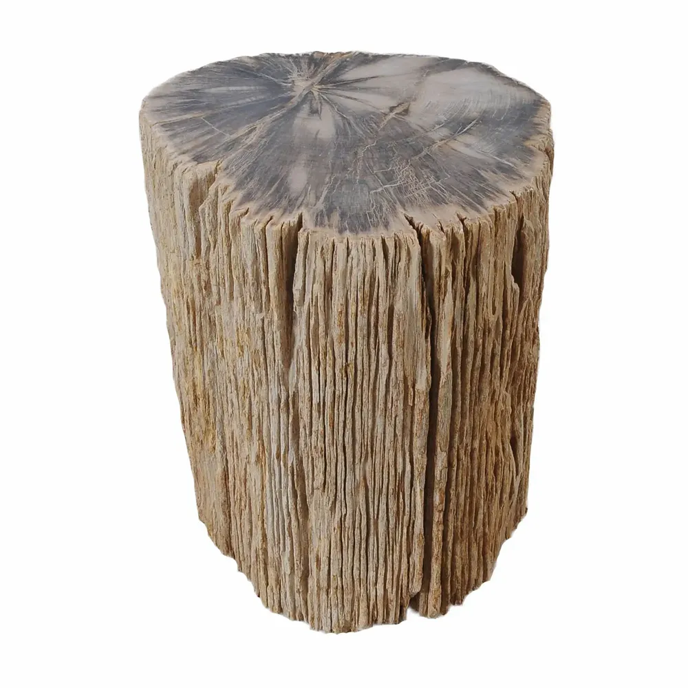 Stools - Petrified Wood side tables - XYLEIA PETRIFIED WOOD