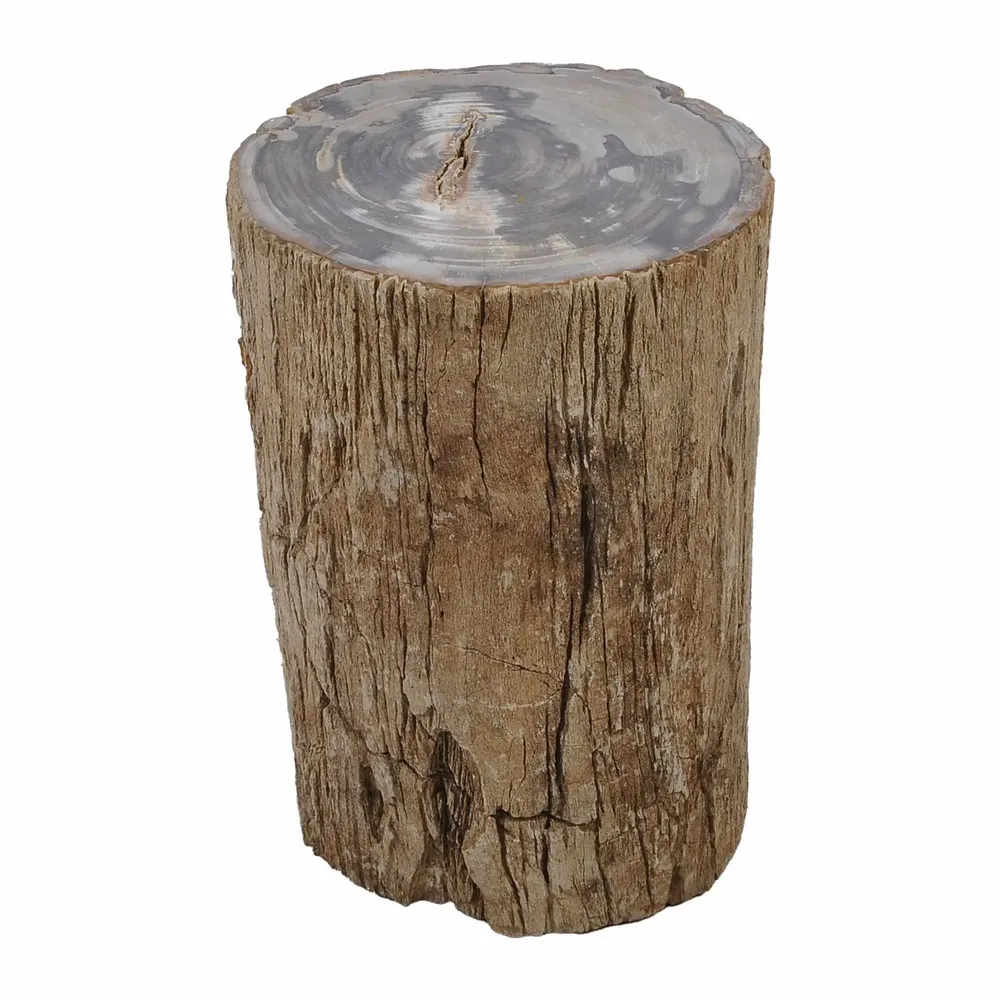 Stools - Petrified Wood side tables - XYLEIA PETRIFIED WOOD