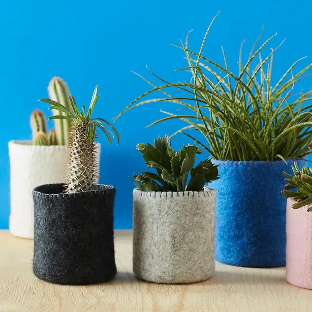 Office design and planning - Flower pots - AVEVA DESIGN