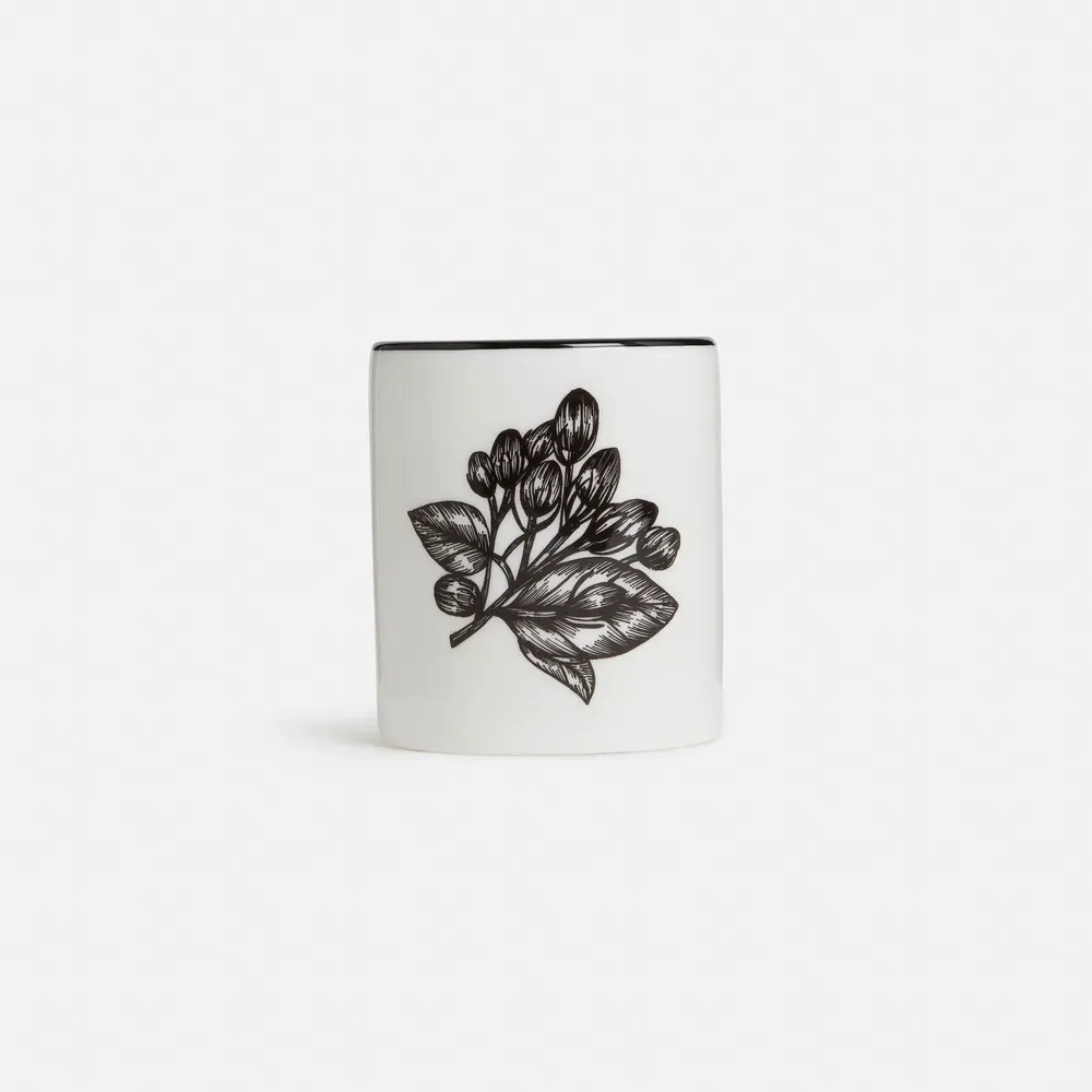 Candles - Jasmine Scented Bone China Candle - SHAKU