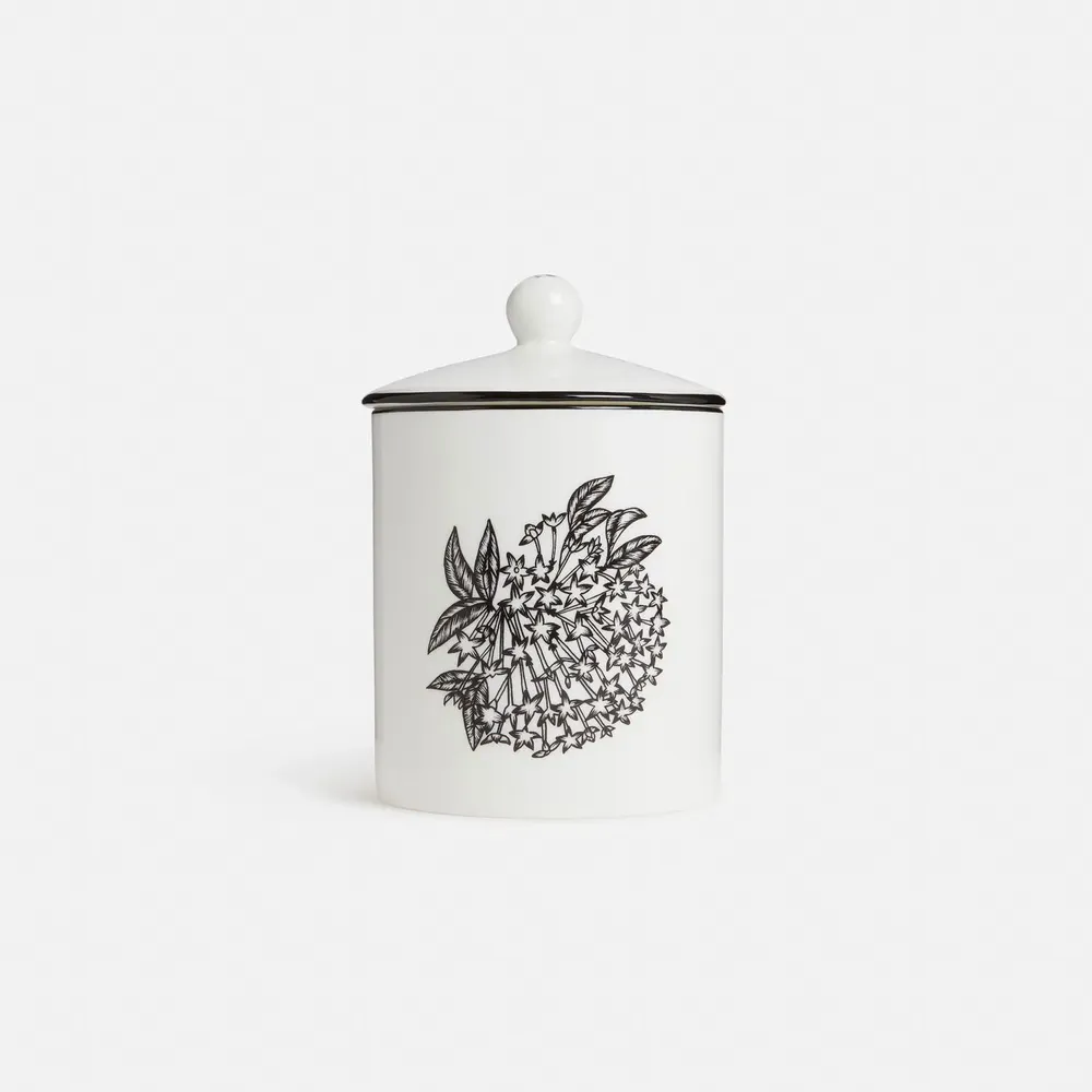 Candles - Queen of the Night Floral Scented Candle - SHAKU