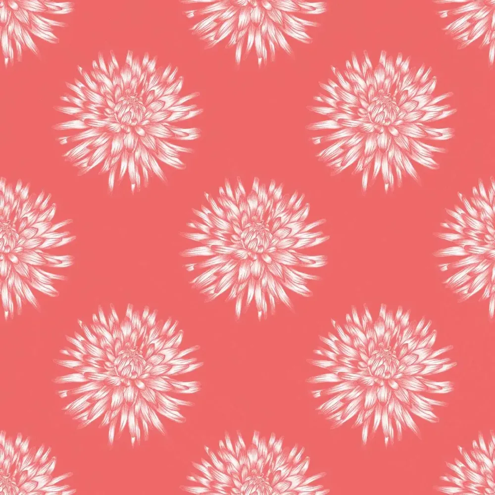 Wallpaper - Dahlia Blush Wallpaper - SHAKU