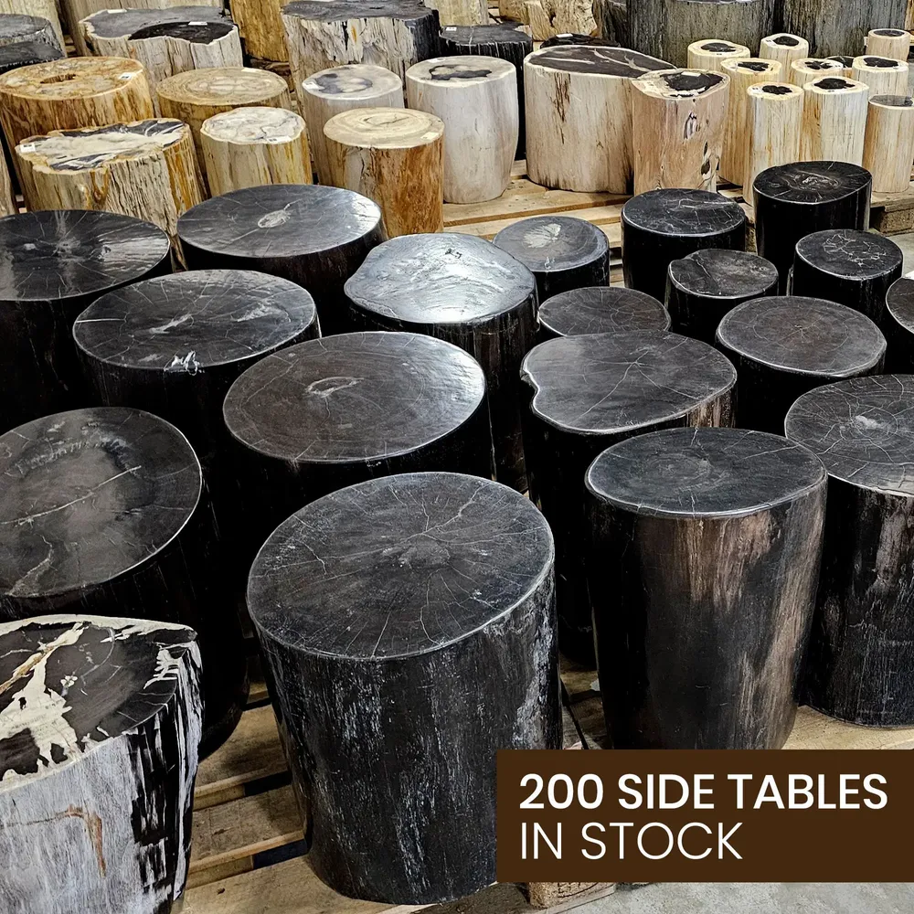 Unique pieces - Petrified Wood side tables - XYLEIA PETRIFIED WOOD