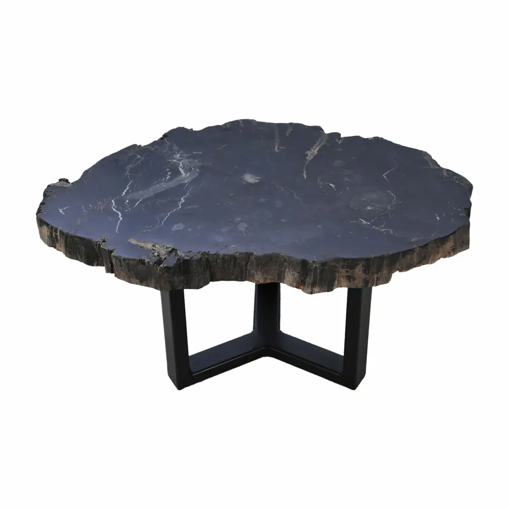 Office furniture and storage - Black petrified wood coffee tables - XYLEIA PETRIFIED WOOD