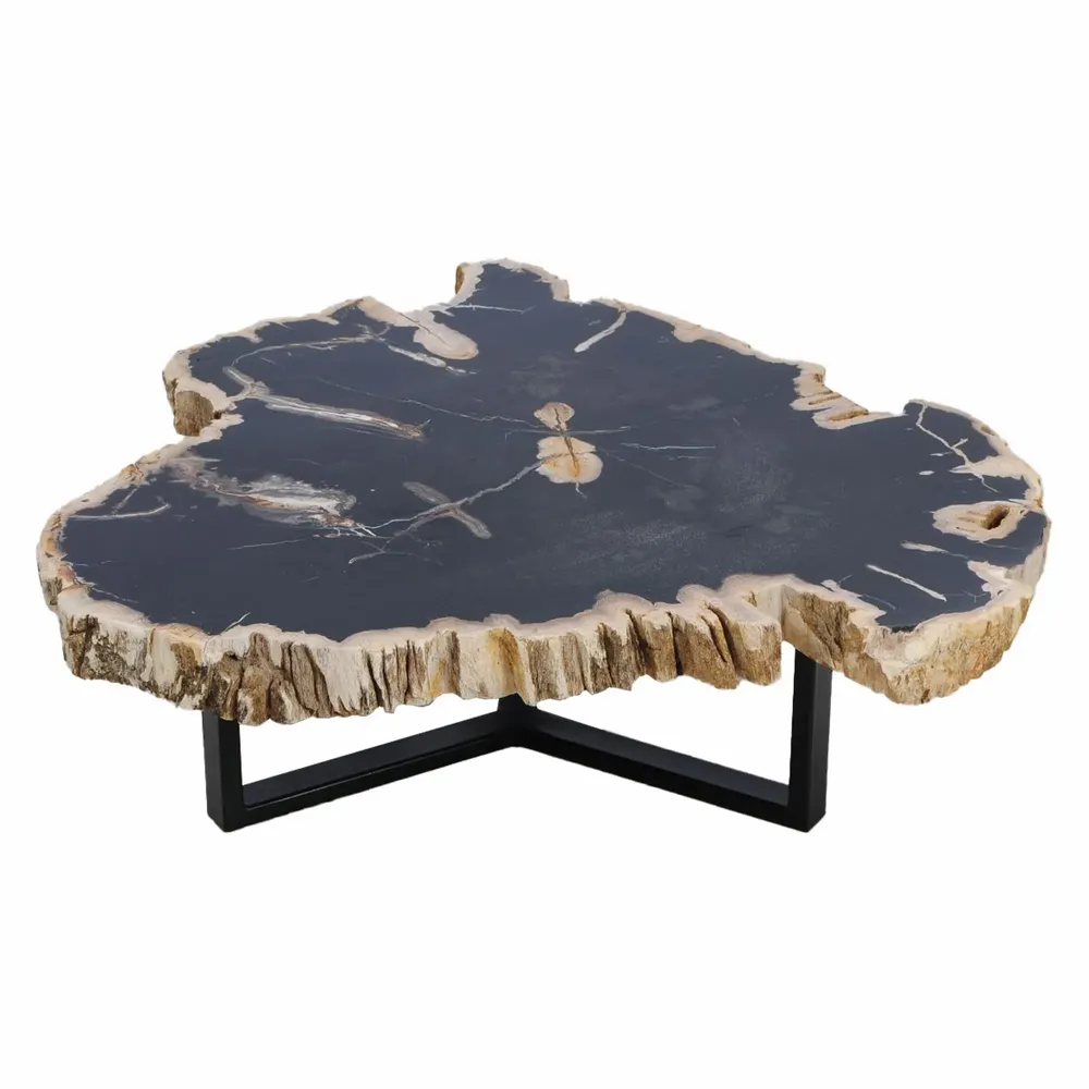 Office furniture and storage - Black petrified wood coffee tables - XYLEIA PETRIFIED WOOD