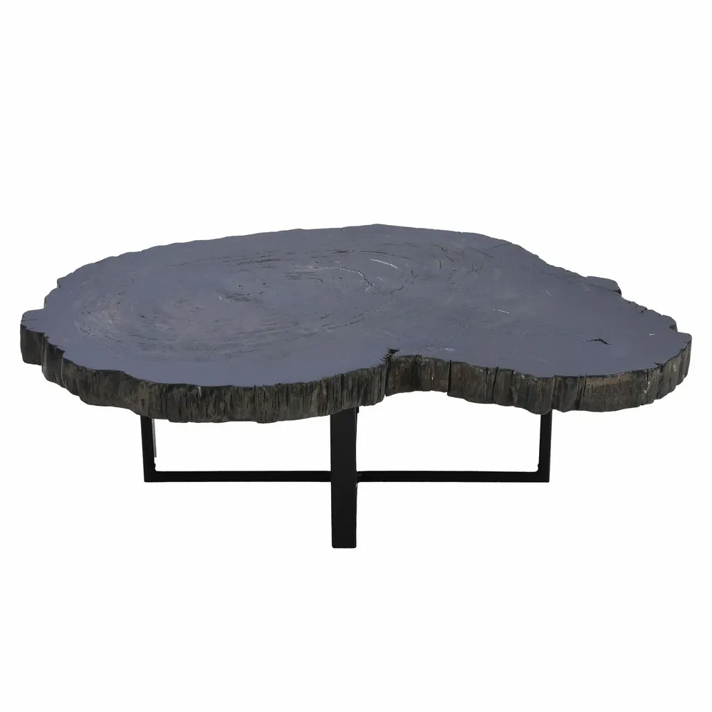 Office furniture and storage - Black petrified wood coffee tables - XYLEIA PETRIFIED WOOD
