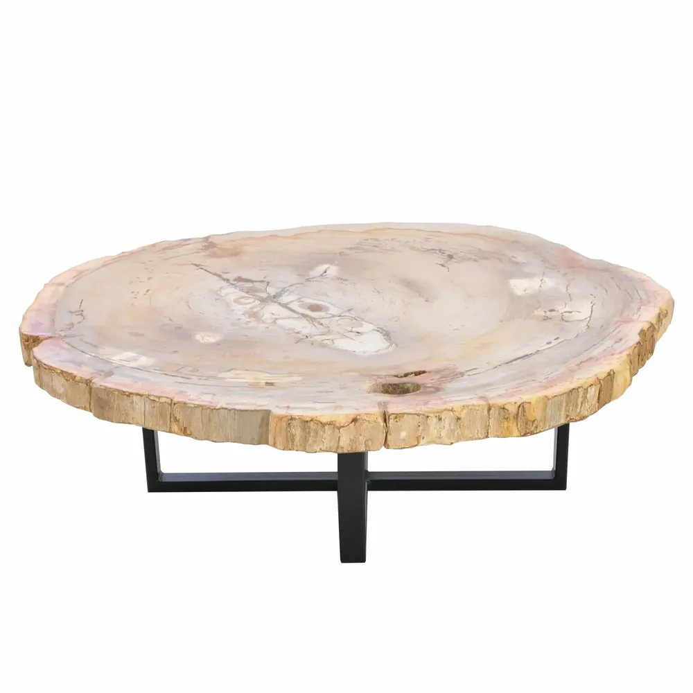 Office furniture and storage - Earth-toned petrified wood coffee tables - XYLEIA PETRIFIED WOOD