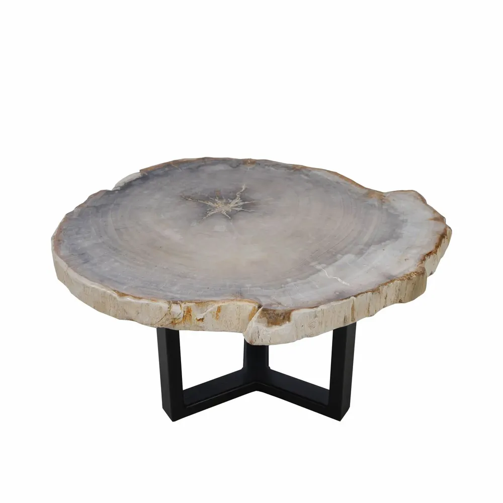 Office furniture and storage - Earth-toned petrified wood coffee tables - XYLEIA PETRIFIED WOOD