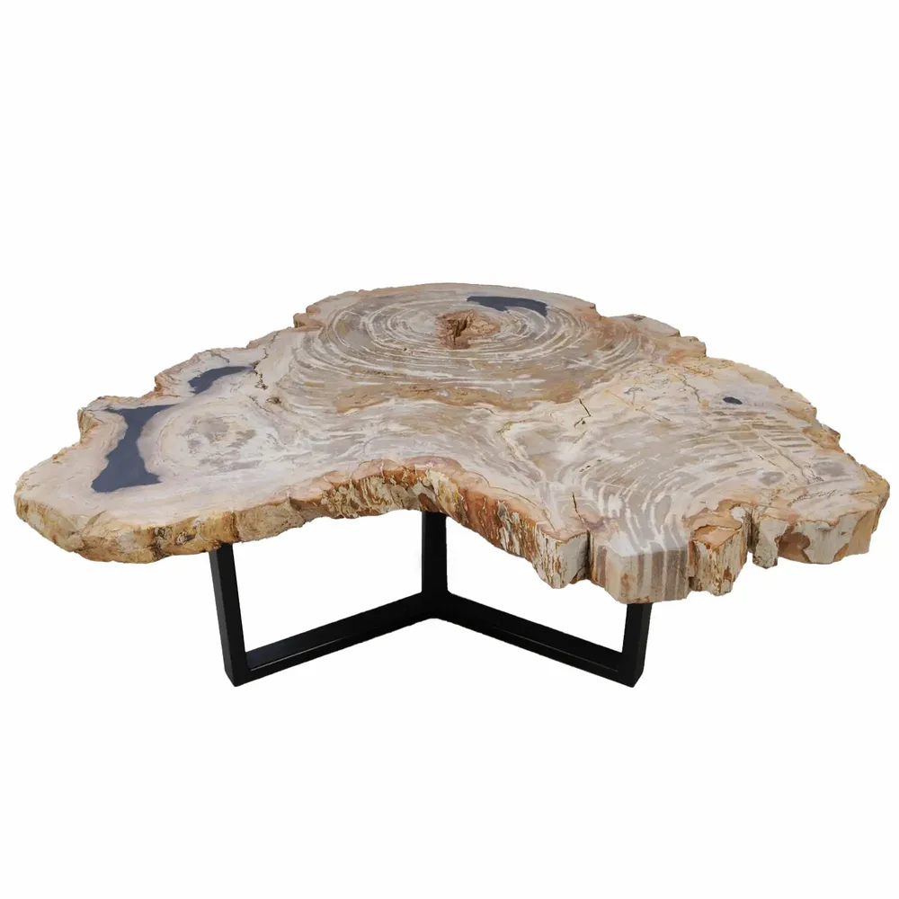 Office furniture and storage - Earth-toned petrified wood coffee tables - XYLEIA PETRIFIED WOOD