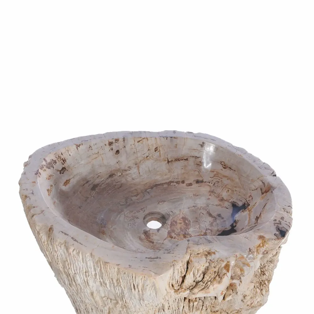 Washbasins - Freestanding Petrified Wood Wash Basins - XYLEIA PETRIFIED WOOD