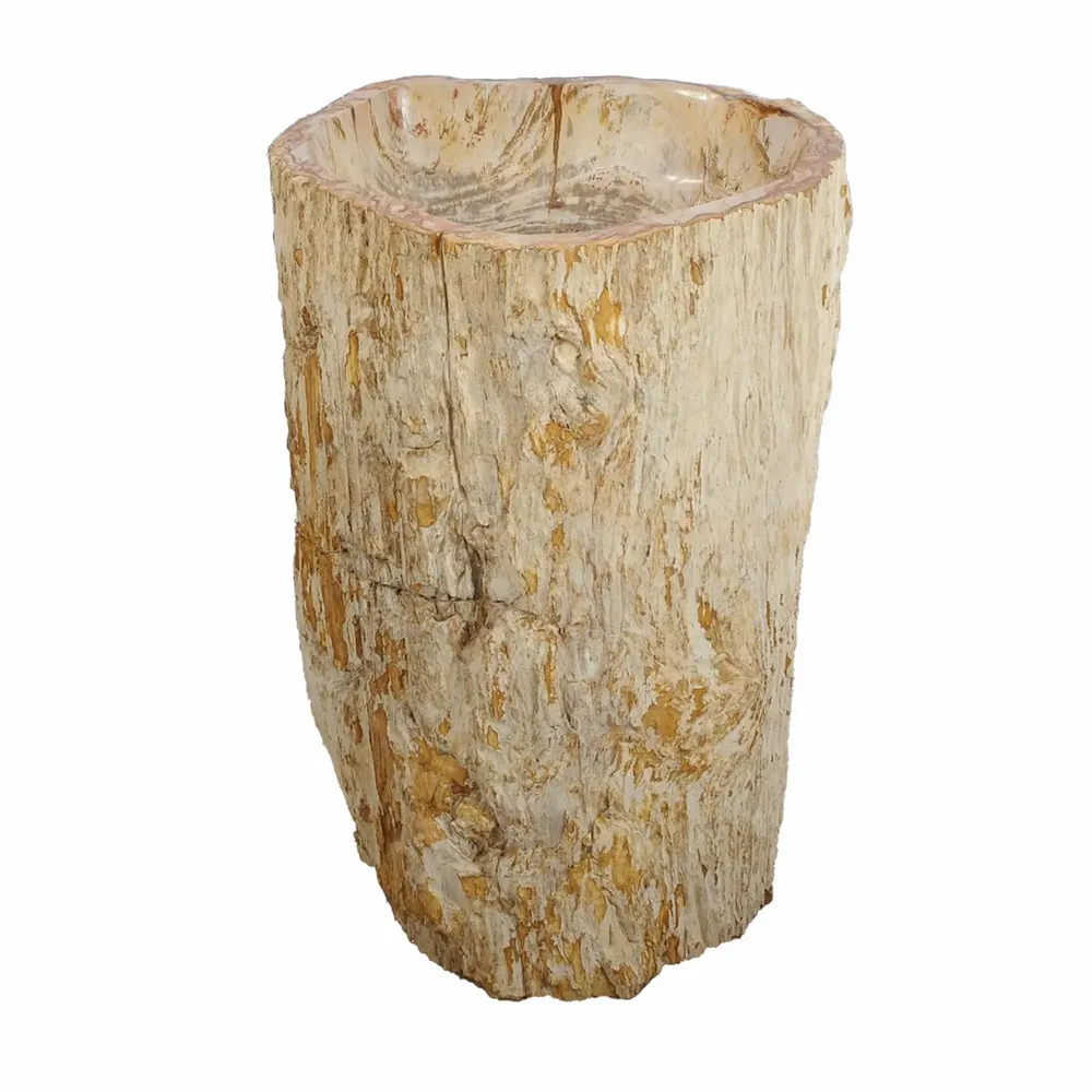 Washbasins - Freestanding Petrified Wood Wash Basins - XYLEIA PETRIFIED WOOD