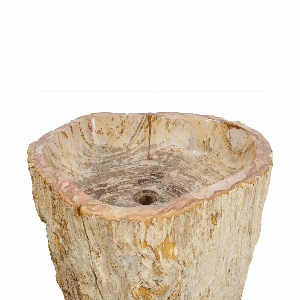 Washbasins - Freestanding Petrified Wood Wash Basins - XYLEIA PETRIFIED WOOD