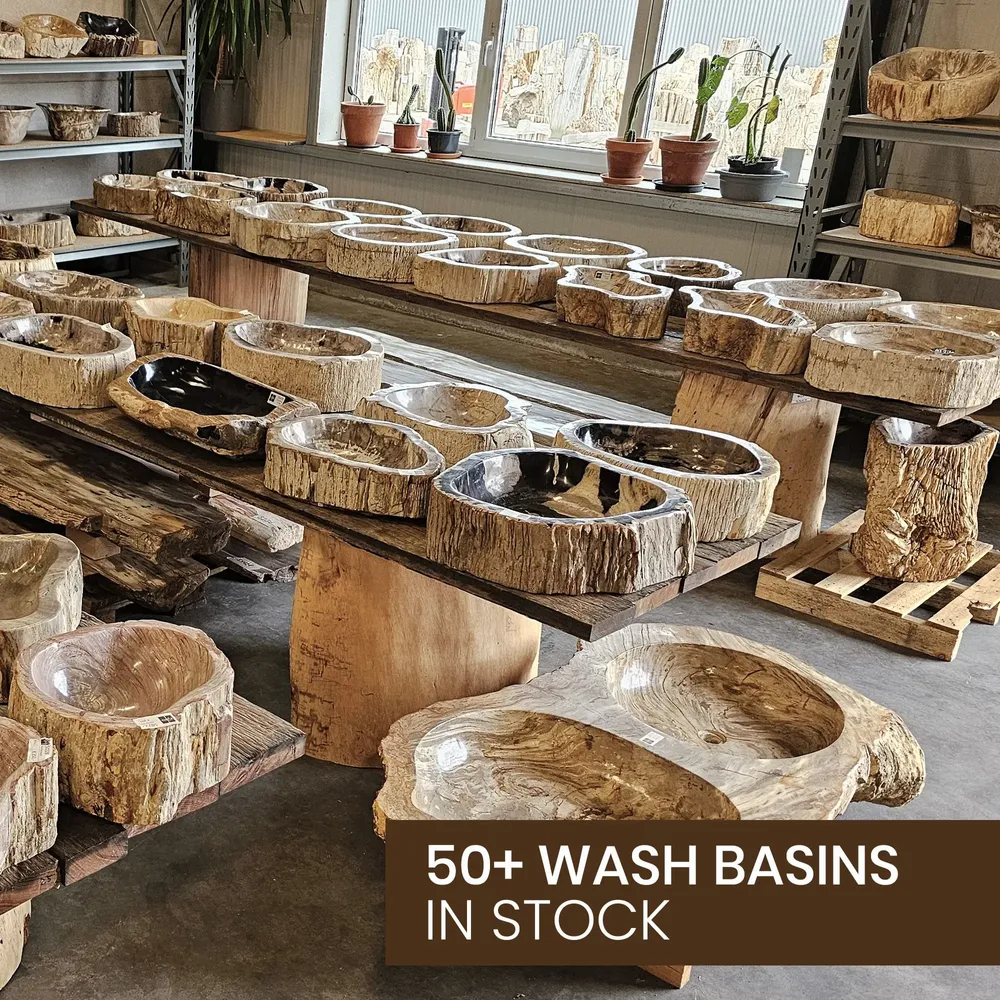 Washbasins - Freestanding Petrified Wood Wash Basins - XYLEIA PETRIFIED WOOD