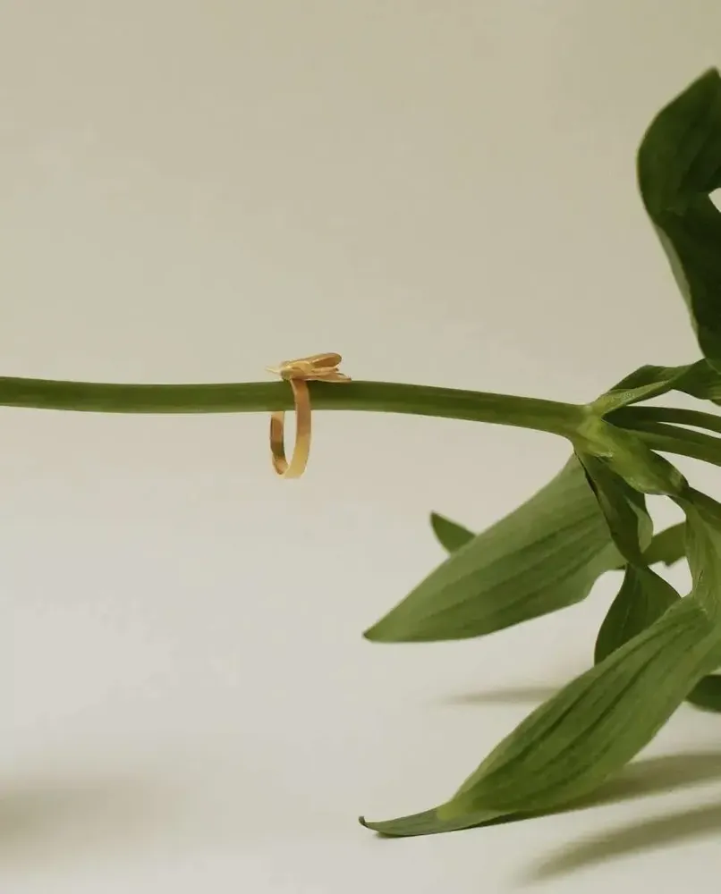 Jewelry - GOLDEN RING VOL - JOIDART