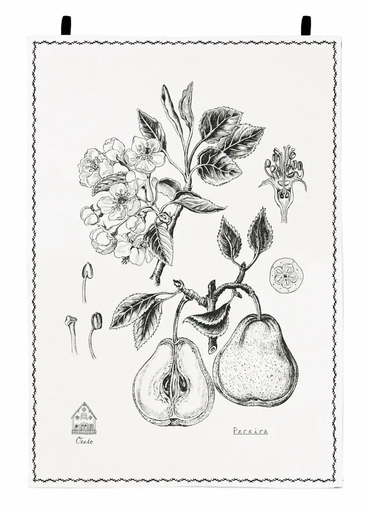 Kitchen linens - Pereira/Poirier - Tea Towel - LUZ EDITIONS
