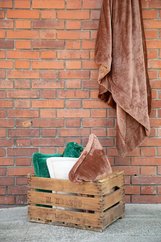 Throw blankets - Tender Throw Blanket Caramel 150 X 200 - MAISON VIVARAISE - SDE VIVARAISE WINKLER