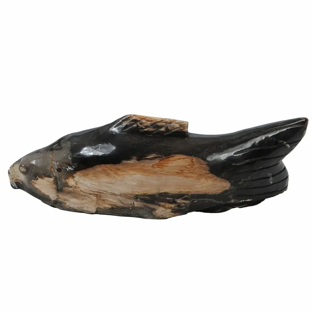 Objets de décoration - Sculptures de poissons en bois pétrifié - XYLEIA PETRIFIED WOOD