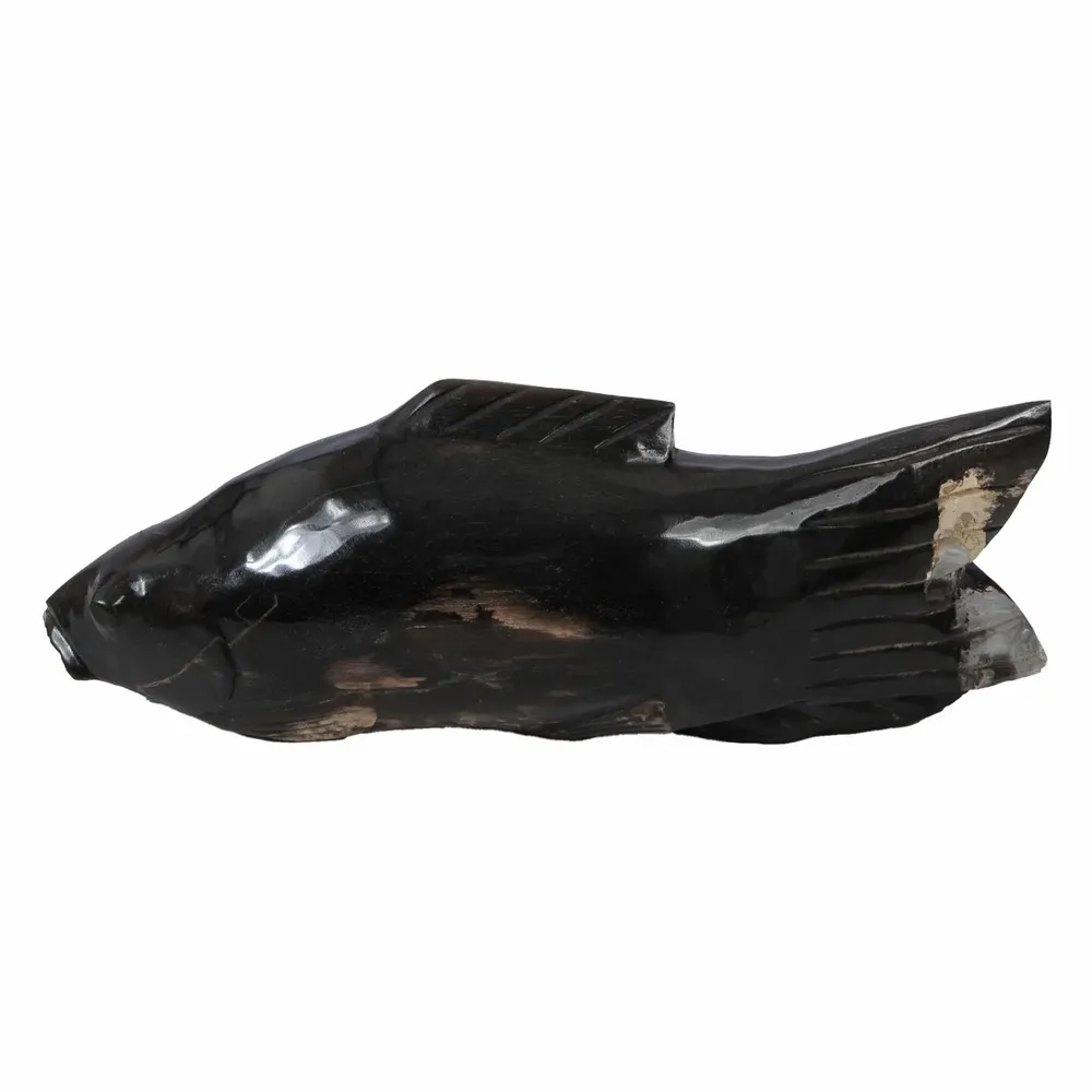 Objets de décoration - Sculptures de poissons en bois pétrifié - XYLEIA PETRIFIED WOOD