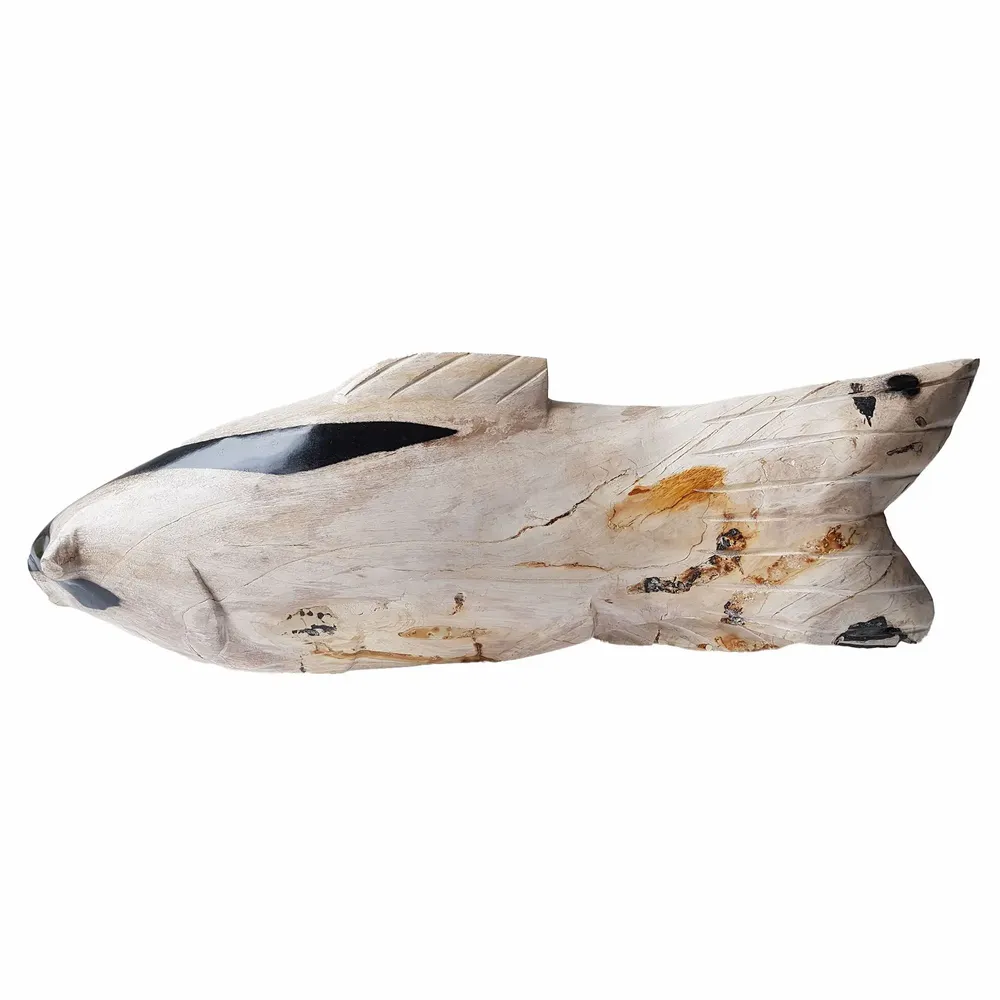 Objets de décoration - Sculptures de poissons en bois pétrifié - XYLEIA PETRIFIED WOOD
