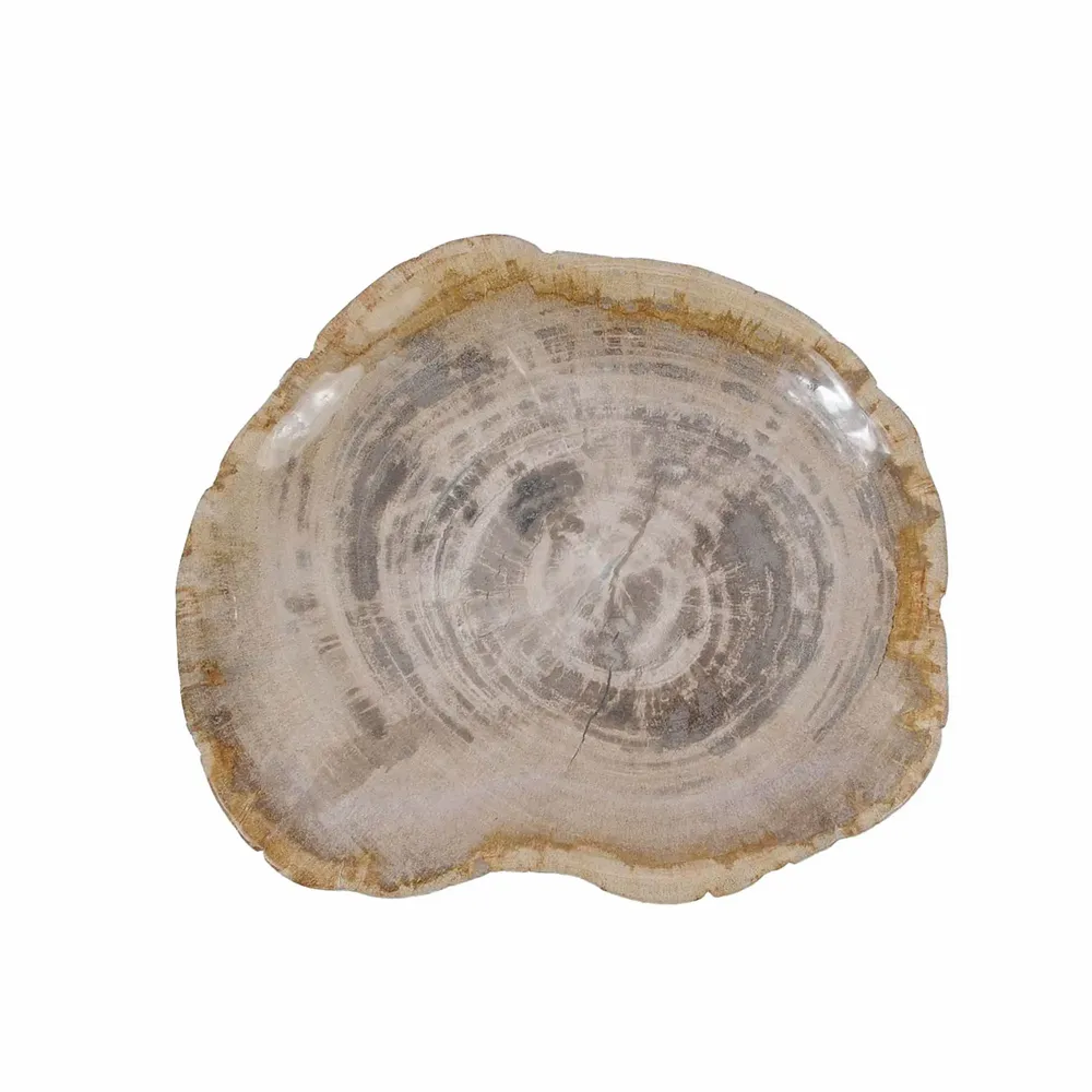 Platter and bowls - Petrified Wood Plates - XYLEIA PETRIFIED WOOD