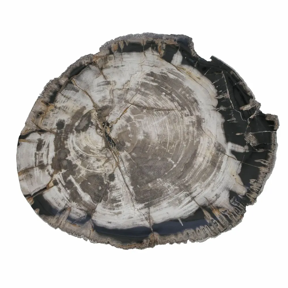Platter and bowls - Petrified Wood Plates - XYLEIA PETRIFIED WOOD