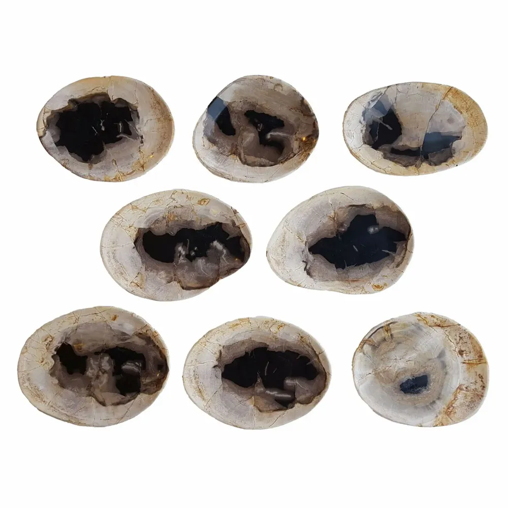 Platter and bowls - Petrified Wood Plates - XYLEIA PETRIFIED WOOD