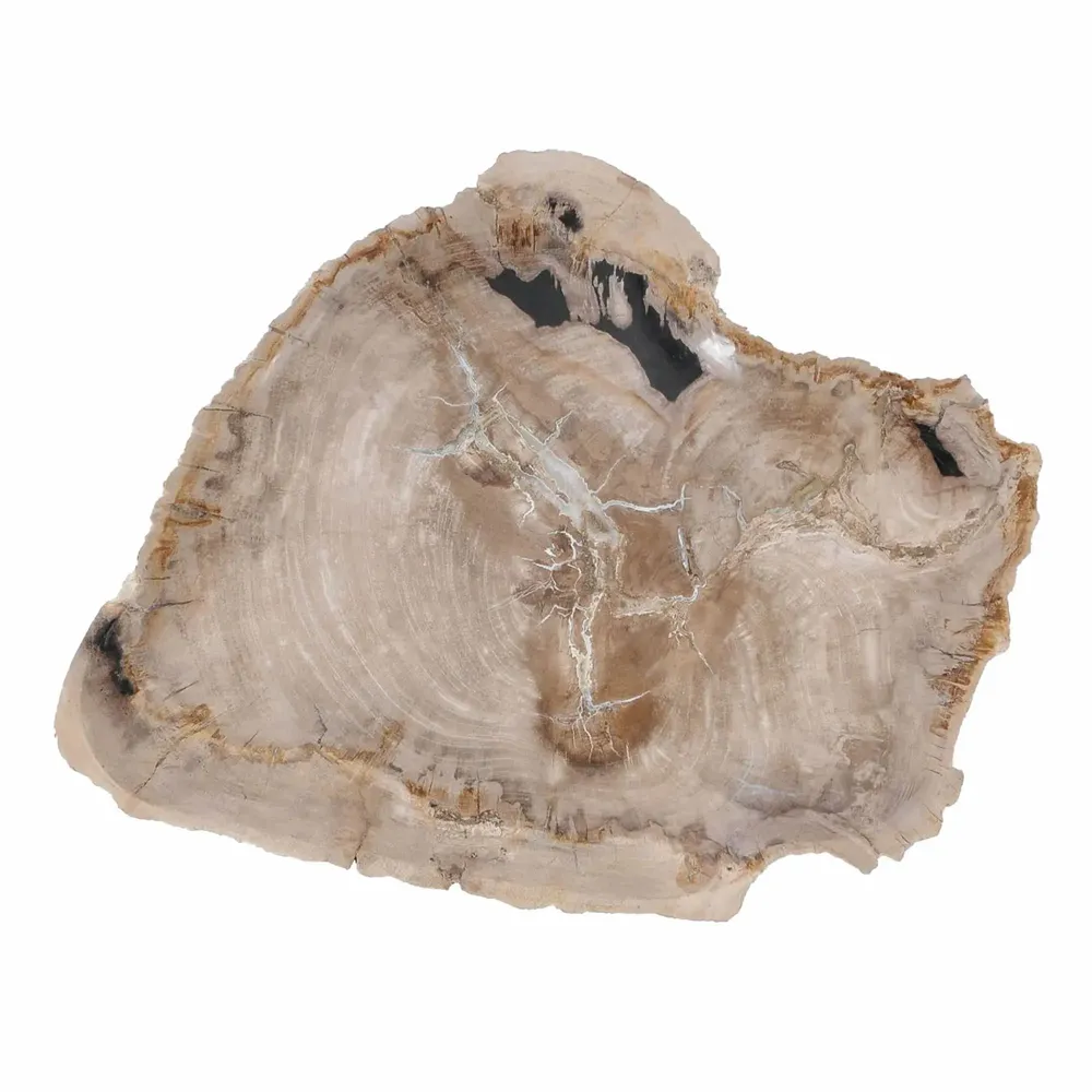 Platter and bowls - Petrified Wood Plates - XYLEIA PETRIFIED WOOD