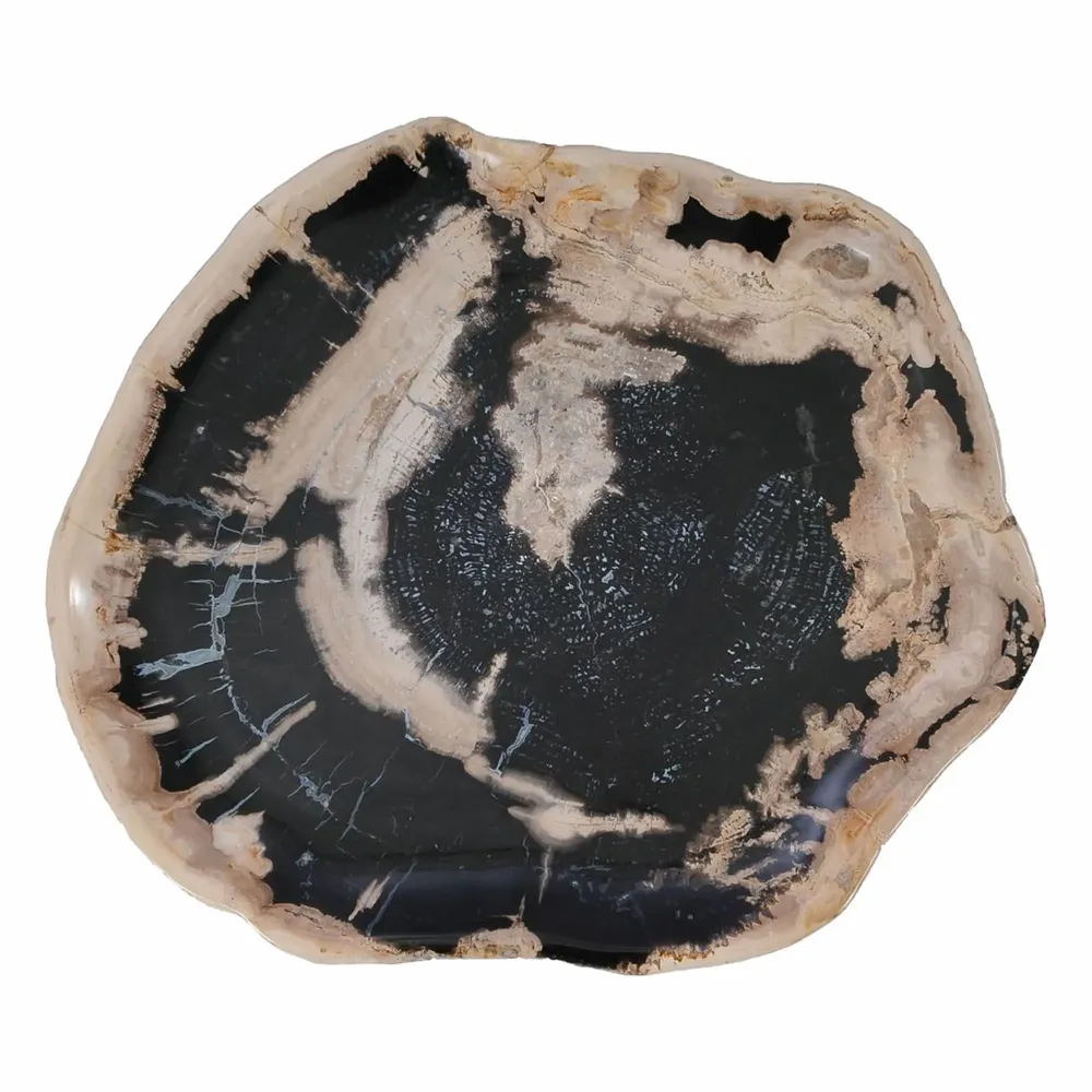 Platter and bowls - Petrified Wood Plates - XYLEIA PETRIFIED WOOD