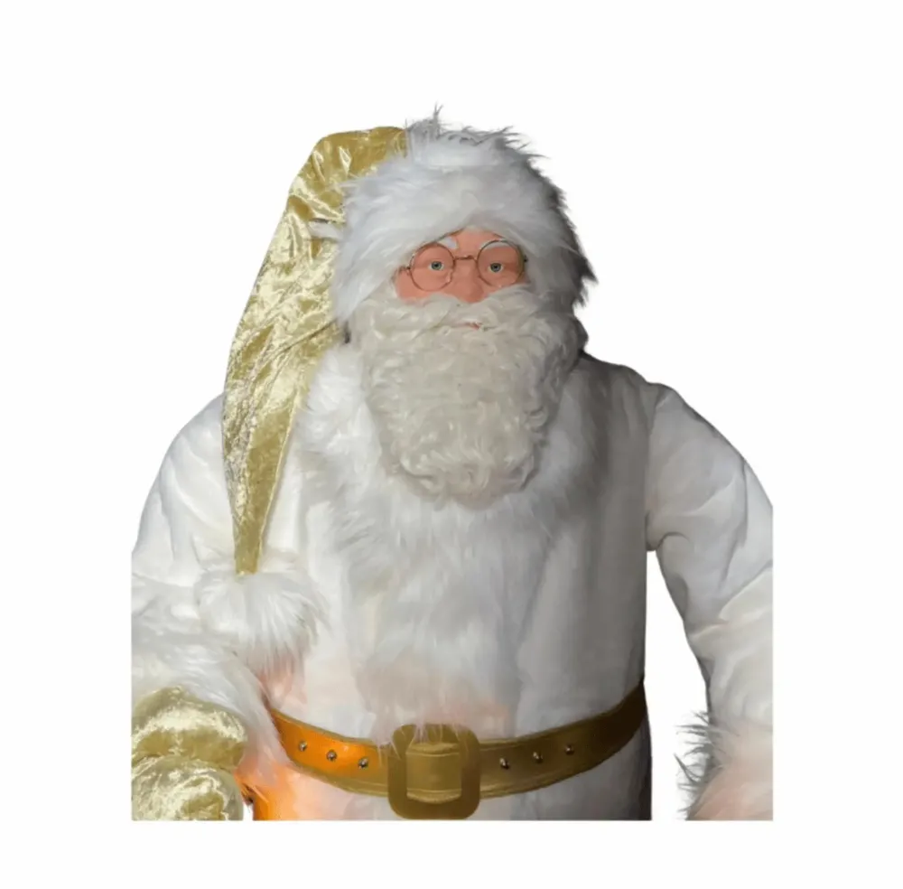 Autres décorations de Noël - Pere Noel blanc et ours polaire - ANIMATE FACTORY