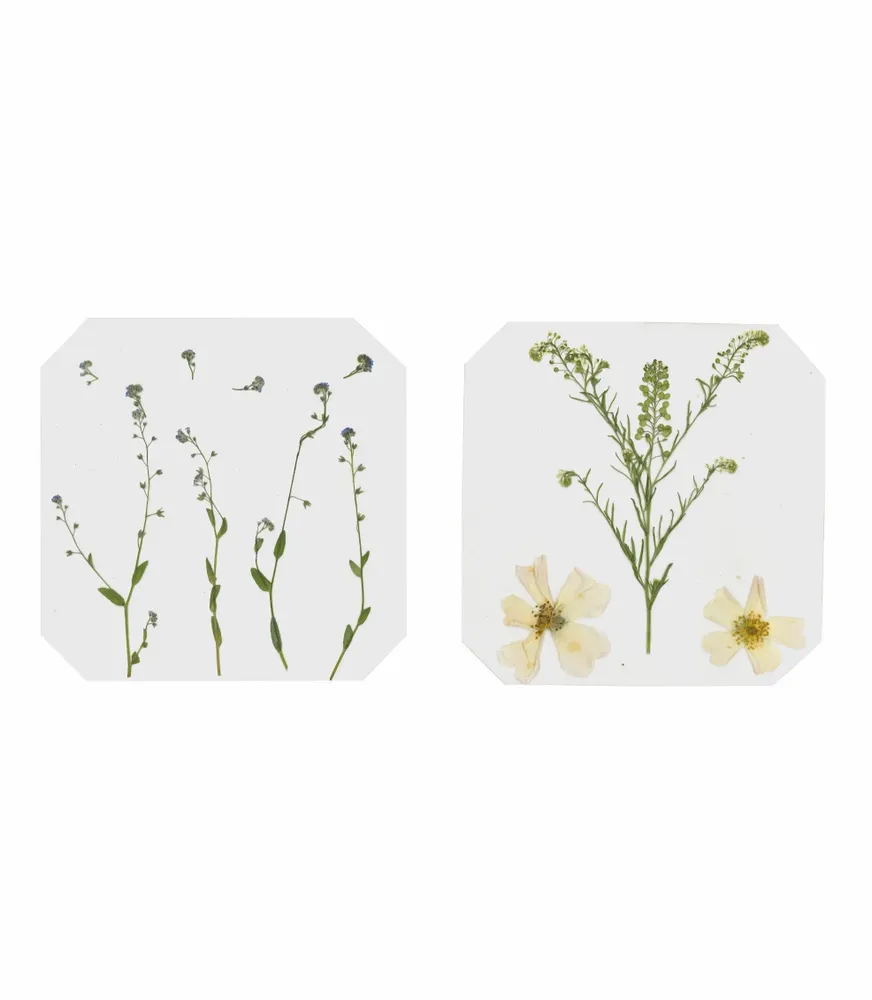 Children's games - Wooden Flower and Leaf Press – Budding Botanist - LOOLIPO