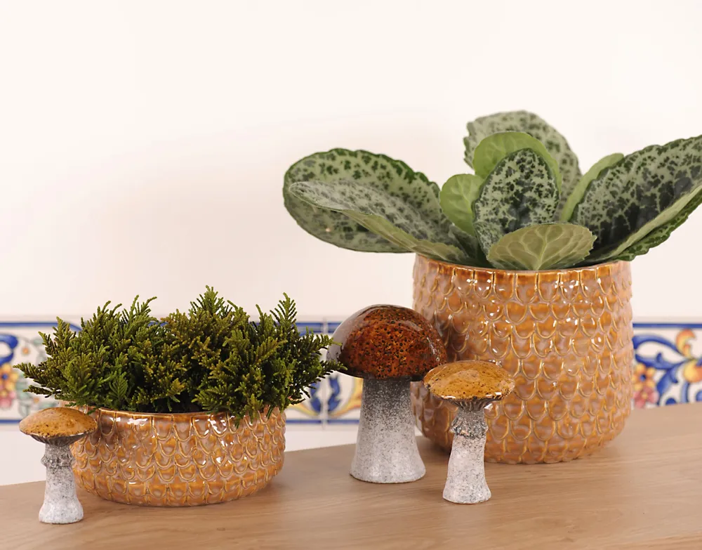 Poterie - POTERIE POUR FLEURISTE - RASTELI - BELGIUM
