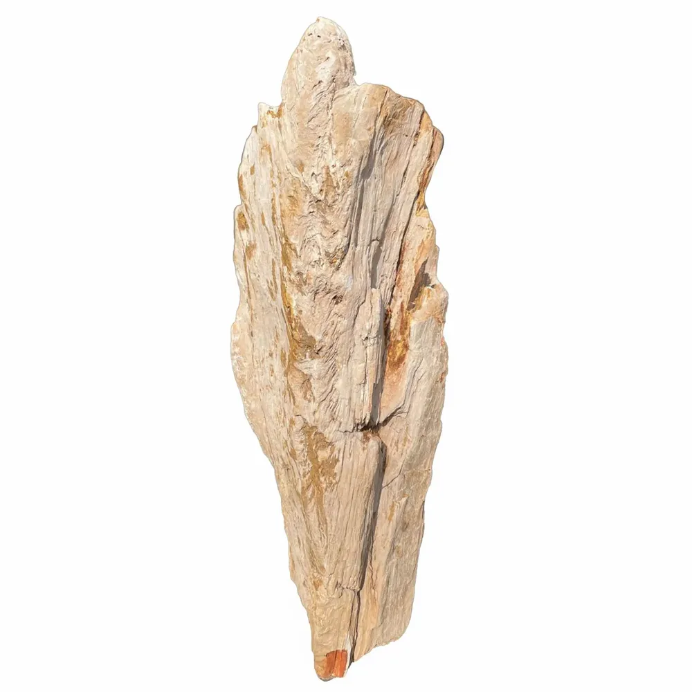 Accessoires de déco extérieure - Sculptures de jardin en bois pétrifié - XYLEIA PETRIFIED WOOD
