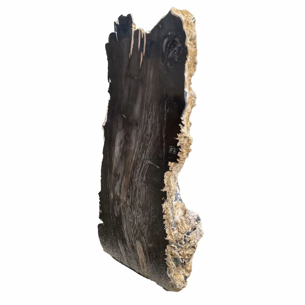 Accessoires de déco extérieure - Sculptures de jardin en bois pétrifié - XYLEIA PETRIFIED WOOD