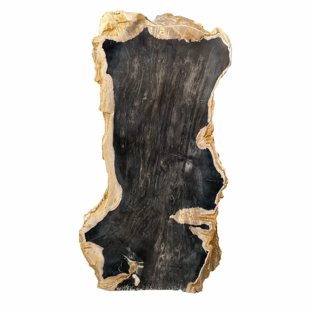 Accessoires de déco extérieure - Sculptures de jardin en bois pétrifié - XYLEIA PETRIFIED WOOD