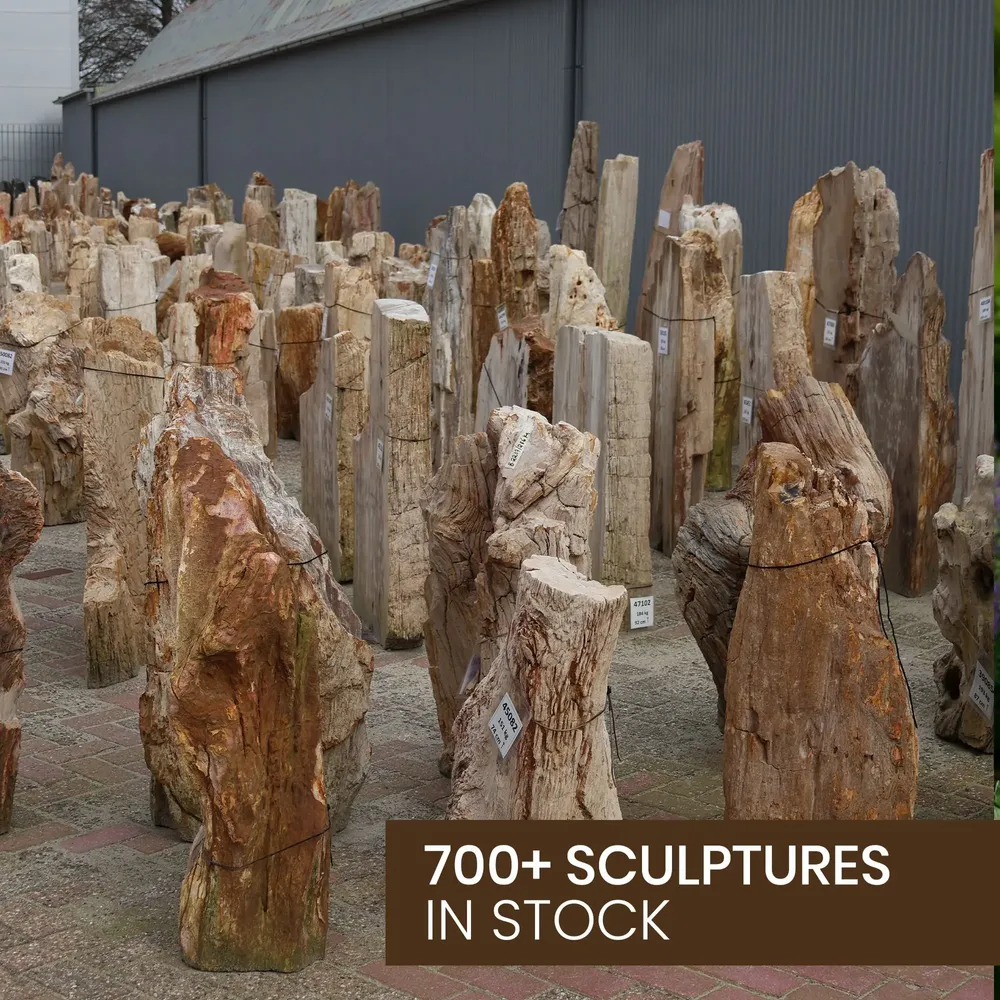 Accessoires de déco extérieure - Sculptures de jardin en bois pétrifié - XYLEIA PETRIFIED WOOD