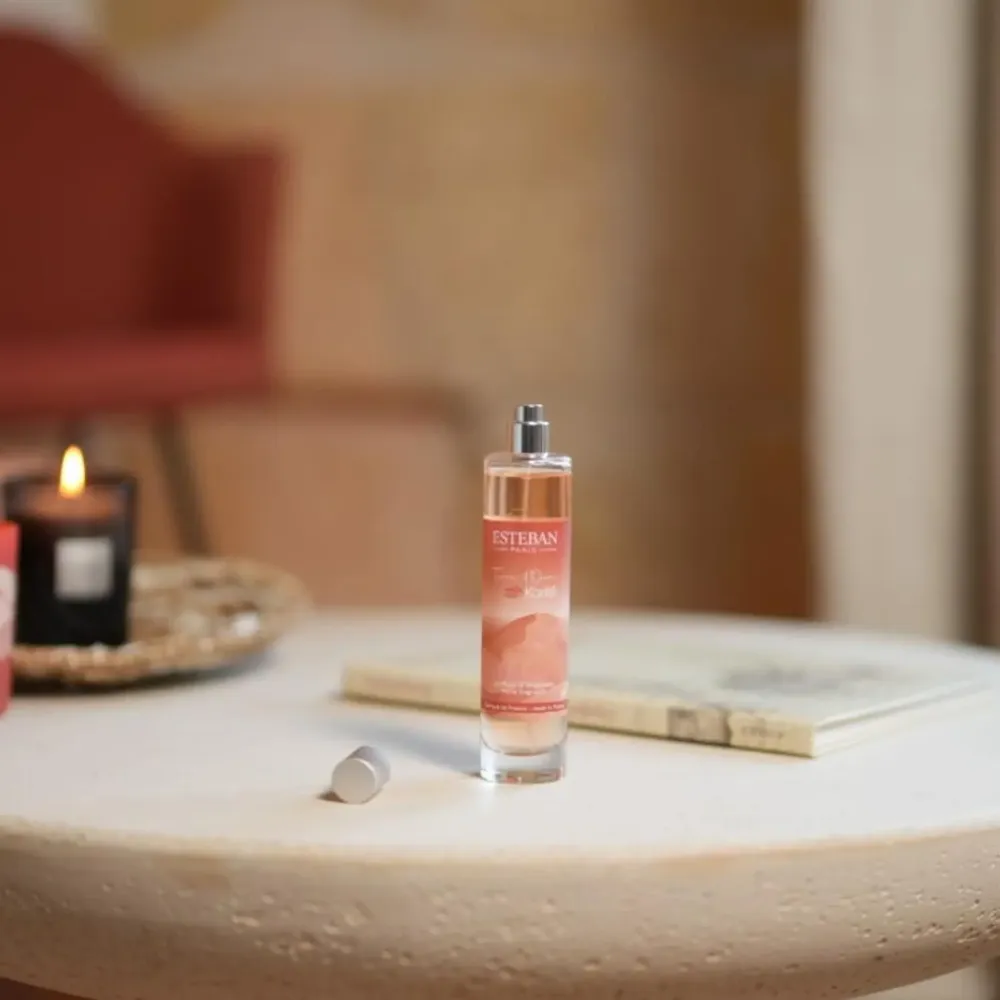 Parfums d'intérieur - Collection - Terre d’Ocre Karité - ESTÉBAN