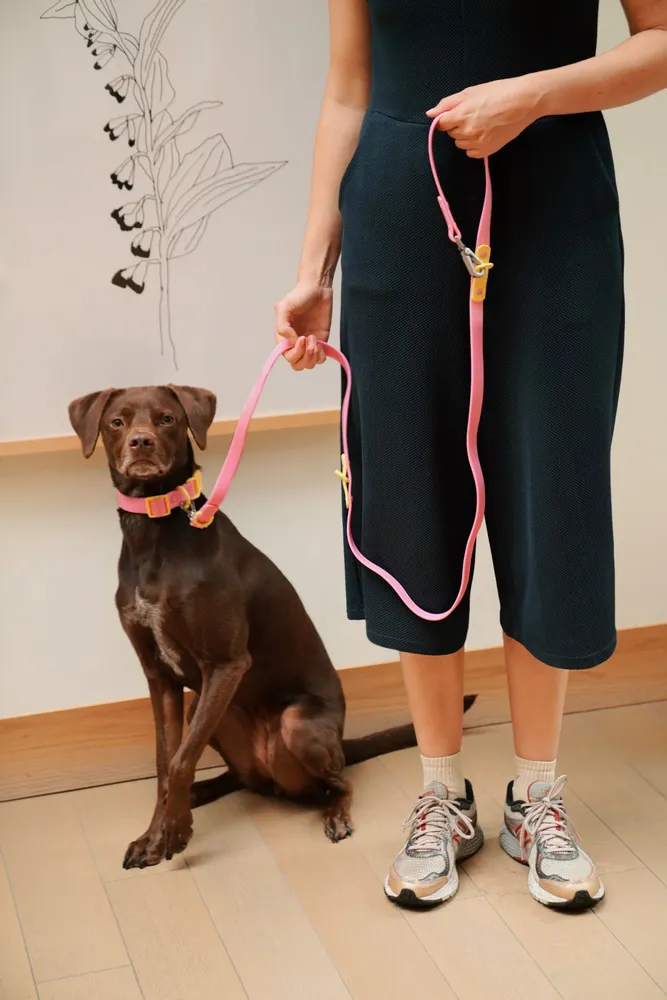 Accessoires animaux - Collier pour chien The Fritz - Gris lilas - APPROVED BY FRITZ