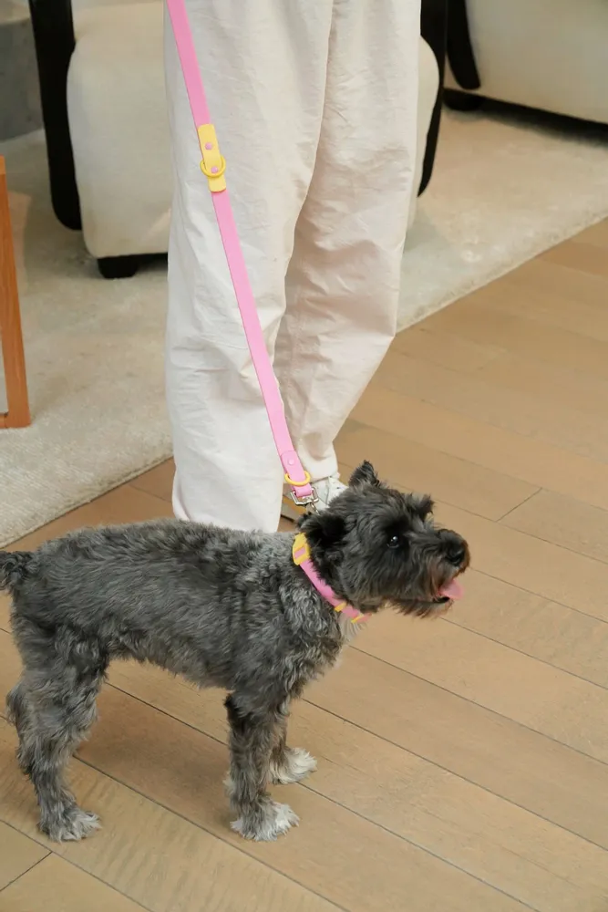 Accessoires animaux - Collier pour chien The Fritz - Gris lilas - APPROVED BY FRITZ