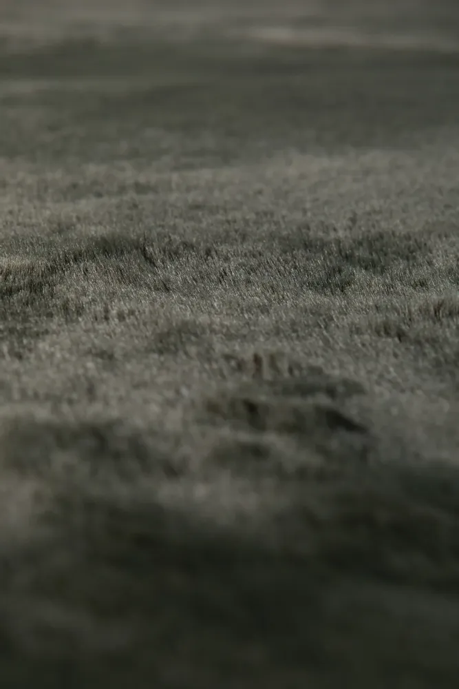 Tapis - Tapis Eddy Thym diamètre 120 cm - MAISON VIVARAISE - SDE VIVARAISE WINKLER