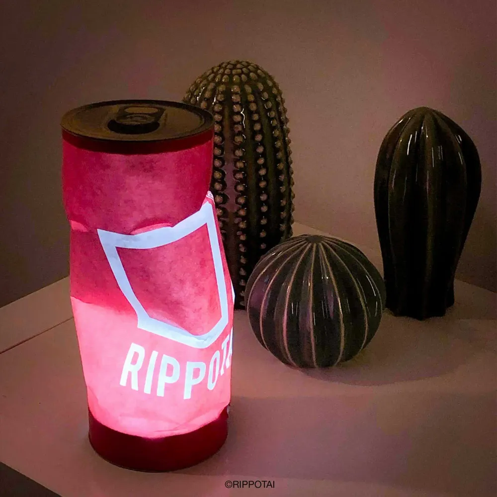 Decorative objects - KAMI, the ecological paper lantern - RIPPOTAI