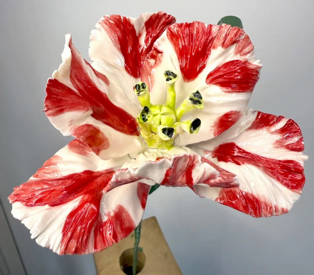 Ceramic - Parrot Tulip - FLEURIR L AVENIR