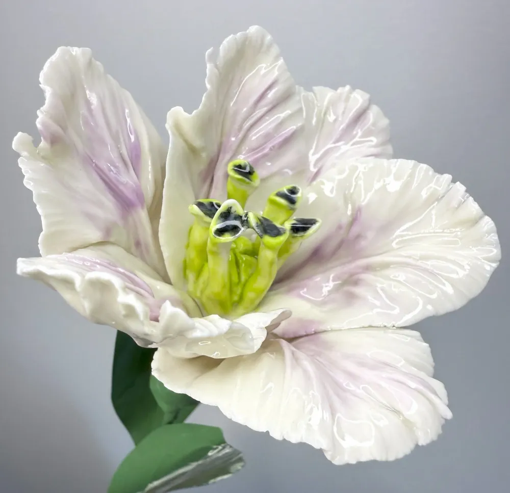 Ceramic - Parrot Tulip - FLEURIR L AVENIR