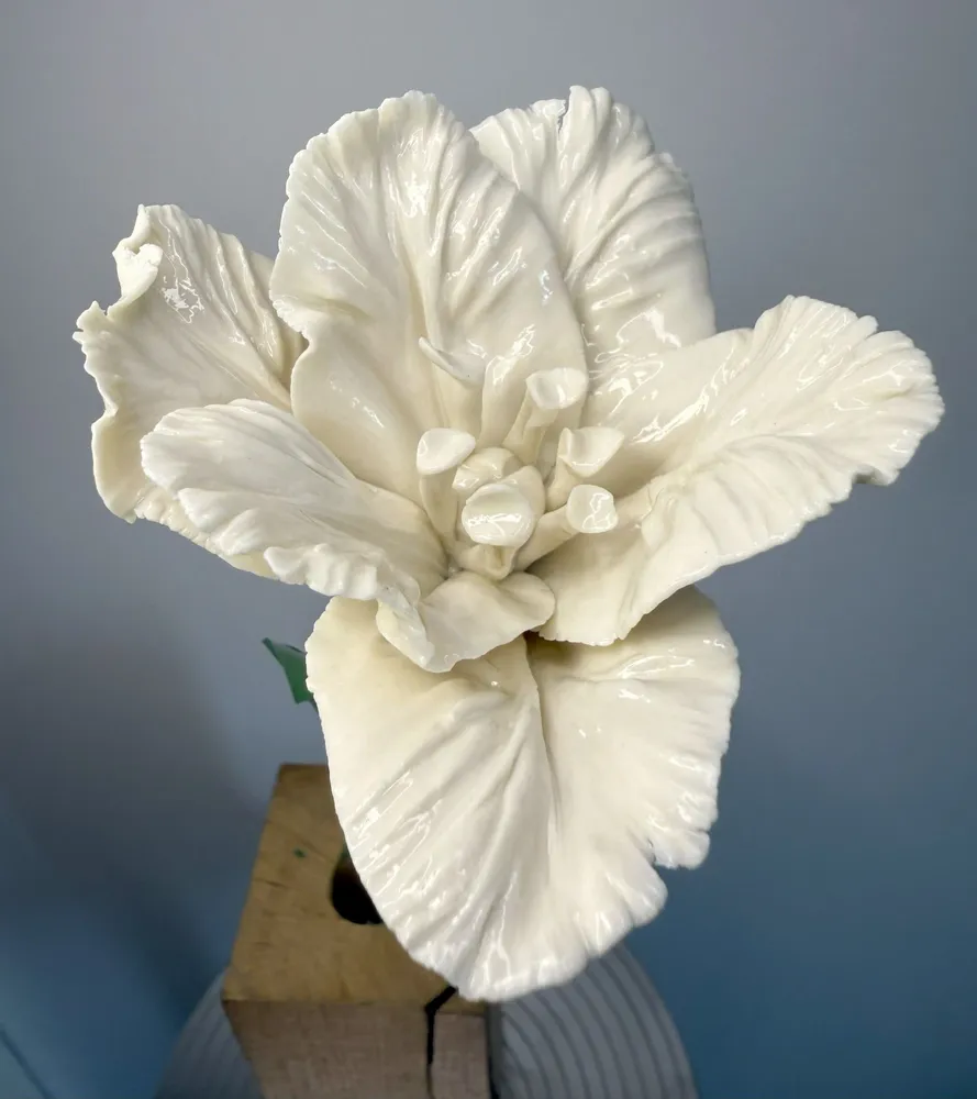 Ceramic - Parrot Tulip - FLEURIR L AVENIR