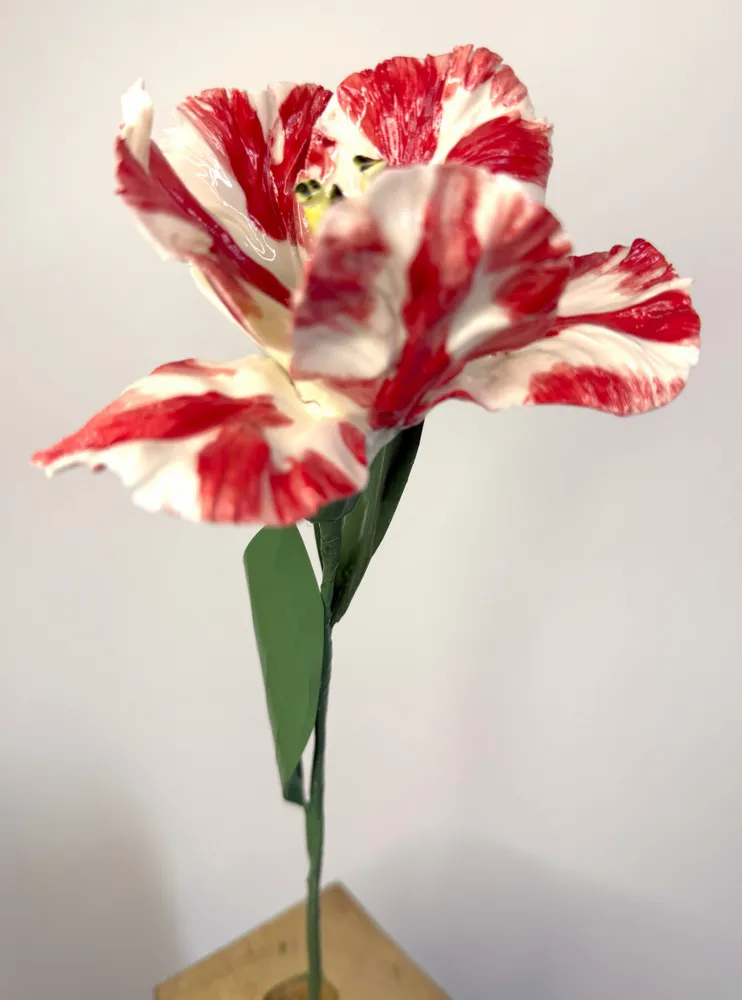 Ceramic - Parrot Tulip - FLEURIR L AVENIR