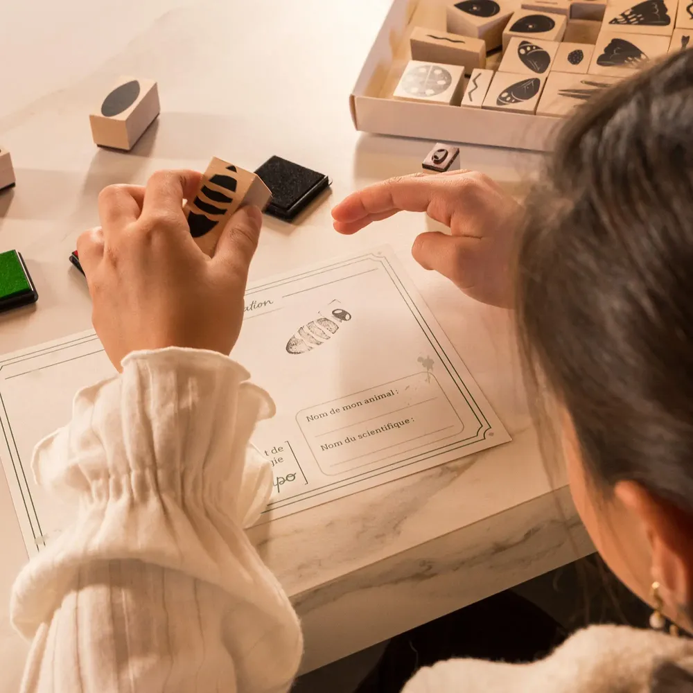 Loisirs créatifs pour enfant - TAMPONS INSECTES À CRÉER + 4 ENCREURS - LOOLIPO