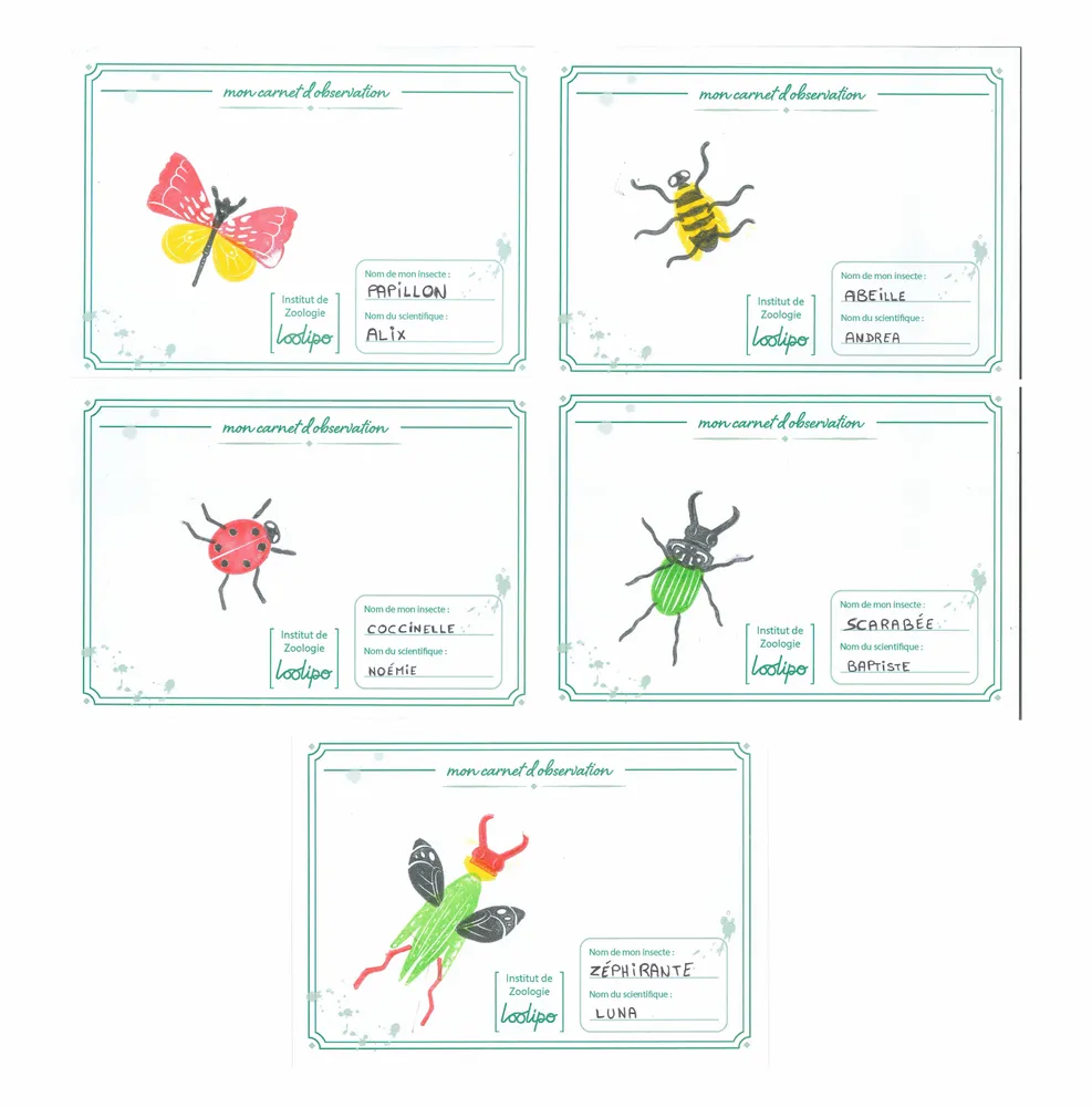 Loisirs créatifs pour enfant - TAMPONS INSECTES À CRÉER + 4 ENCREURS - LOOLIPO