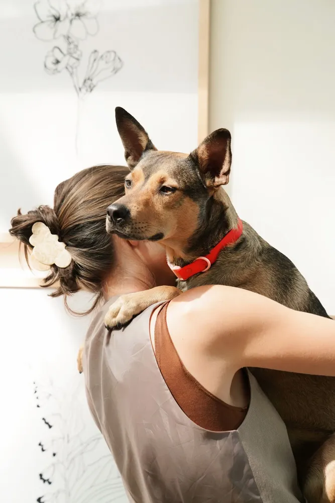 Accessoires animaux - Collier pour chien The Fritz - APPROVED BY FRITZ