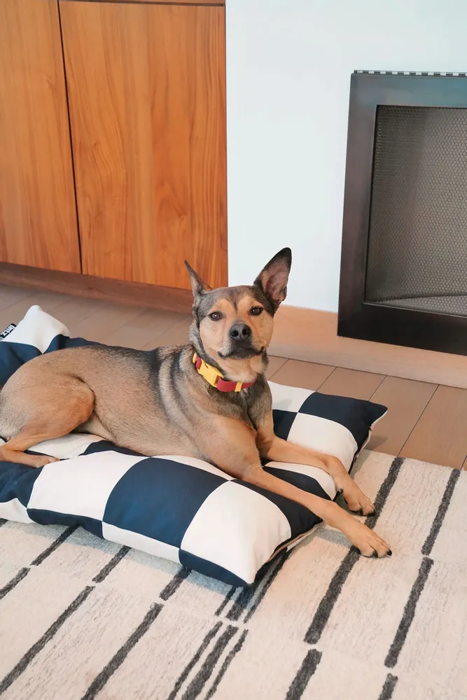 Tissus d'extérieur - Le lit pour chien Fritz - APPROVED BY FRITZ
